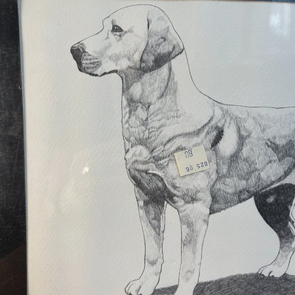 2/$50 🌸 Vintage 1974 Labrador Sketch - Picture 2 of 8